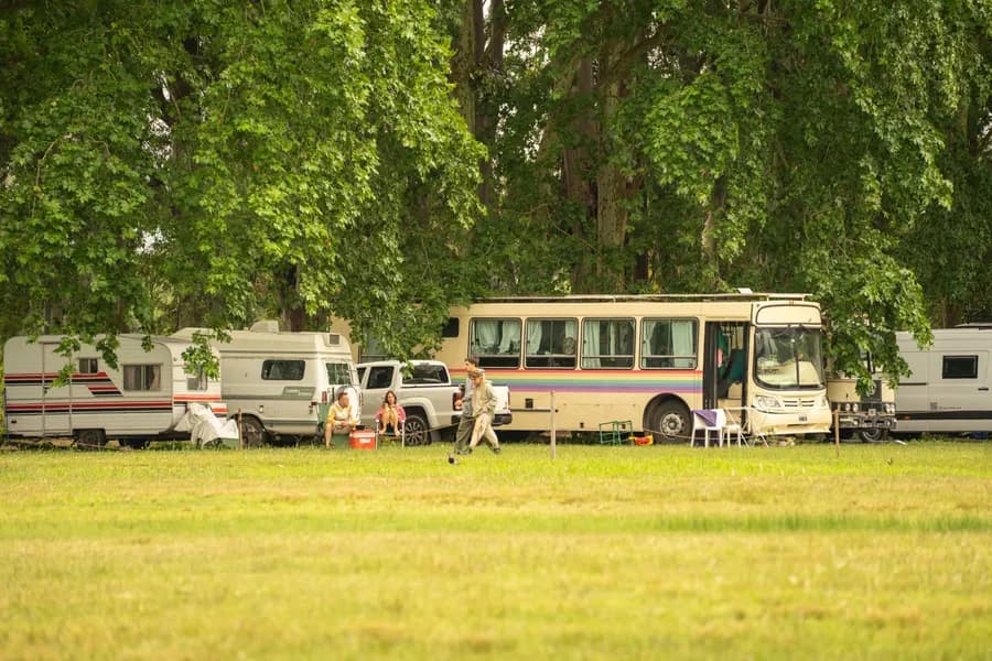 Motorhomes and camper vans parked under the trees on site