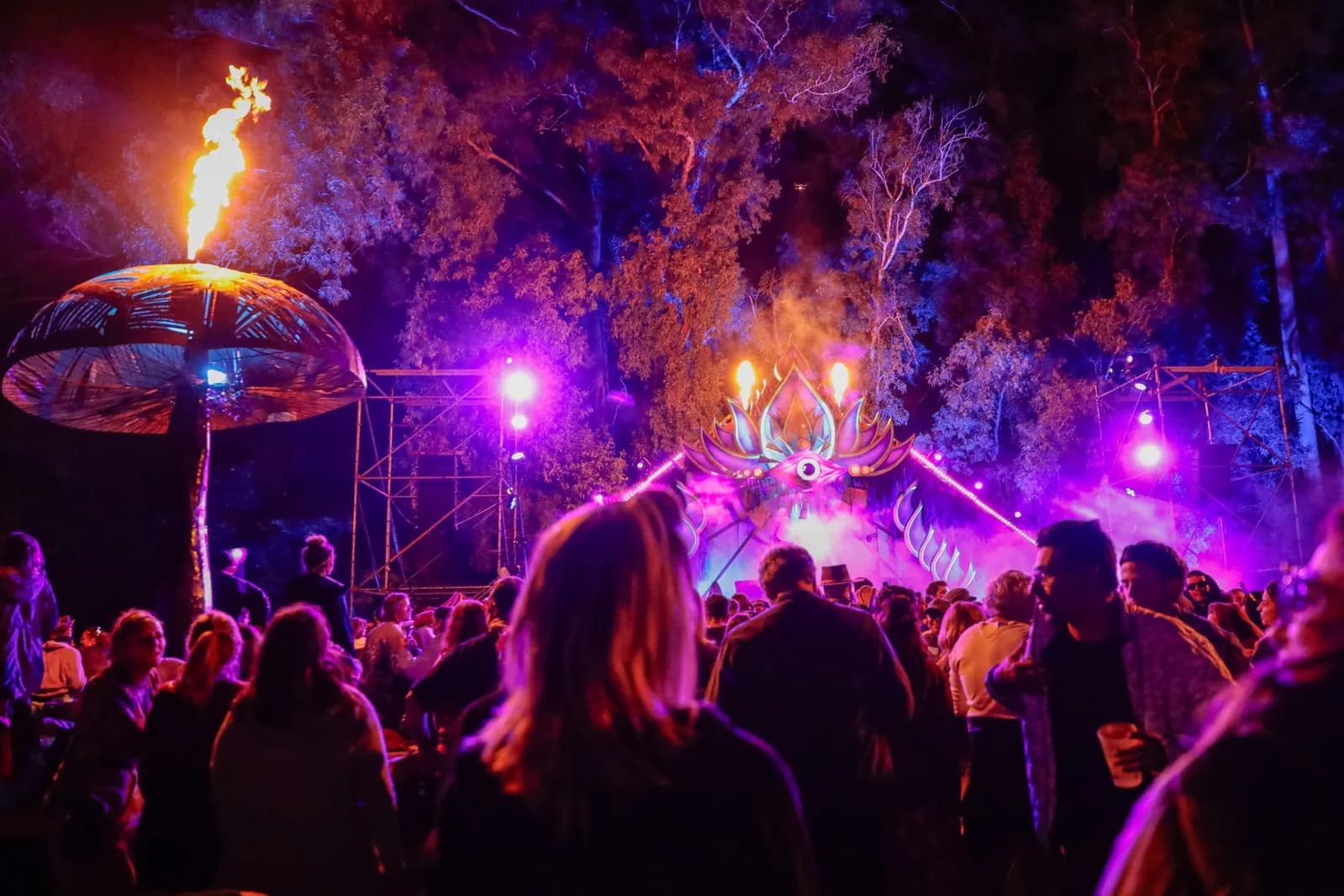 Music and celebration at Amanita